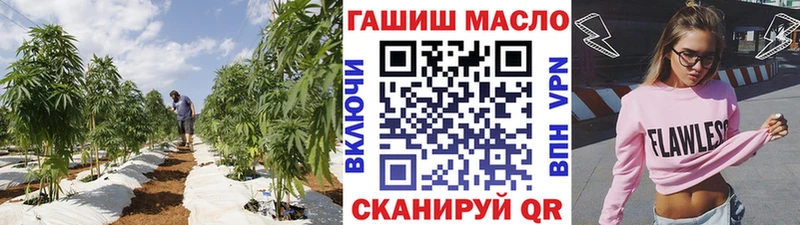 ТГК THC oil  Купить закладки  Щучье 
